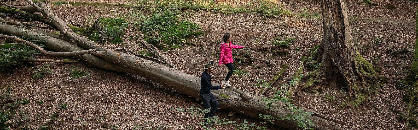 Wanderer am Binenbach