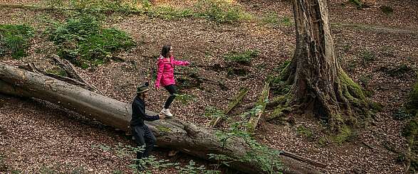 Wanderer am Binenbach