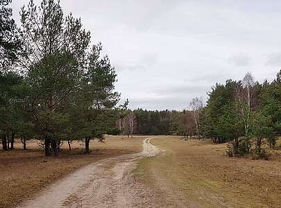 Wildgehege Glauer Tal