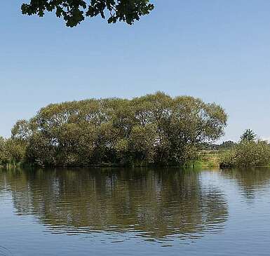 Hausboot auf der unteren Havelniederung bei Milow