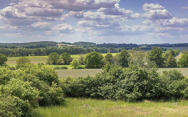 Niederlausitzer Landrücken