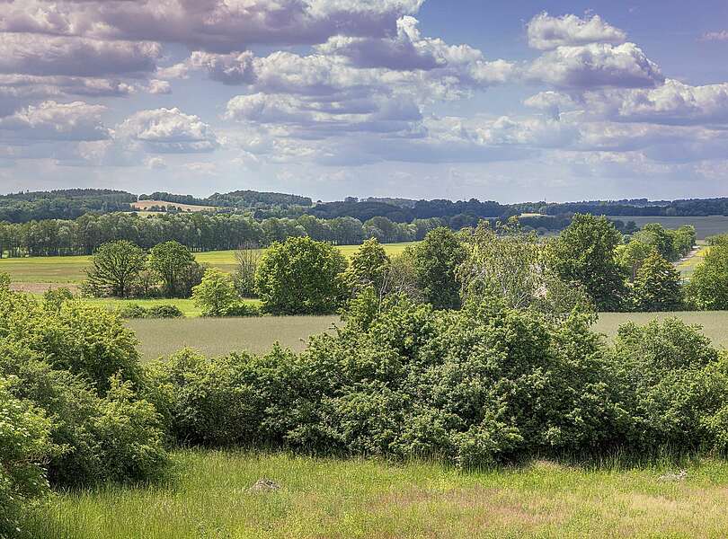 Niederlausitzer Landrücken