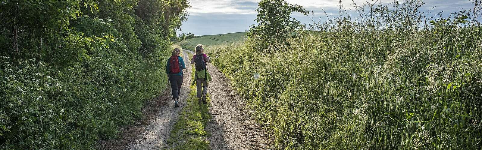 Zwei Wanderer auf einem Feldweg
