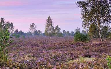 Dämmerung in der Reicherskreuzer Heide