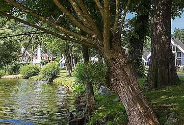 Schlosspark Bad Saarow