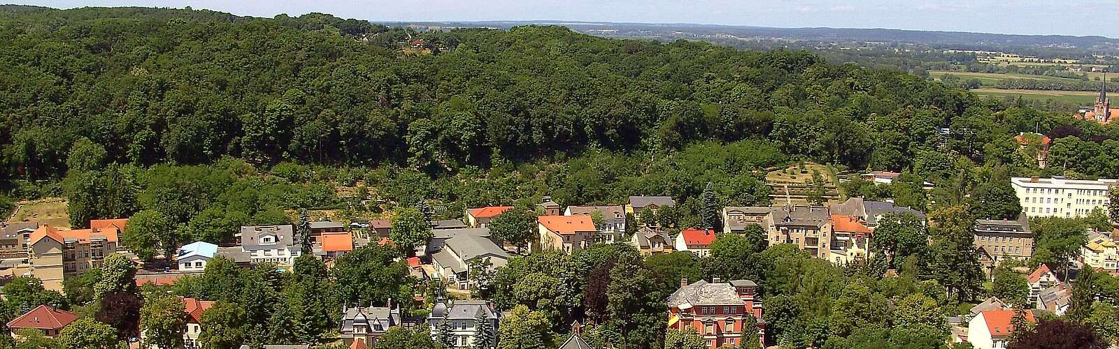 Blick auf Bad Freienwalde