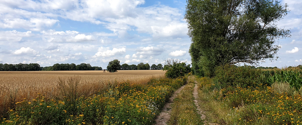 Annenpfad in der Prignitz