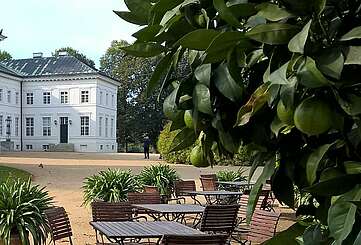 Schloss Neuhardenberg
