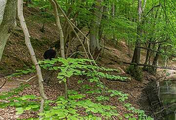 Wanderer im Schlaubetal