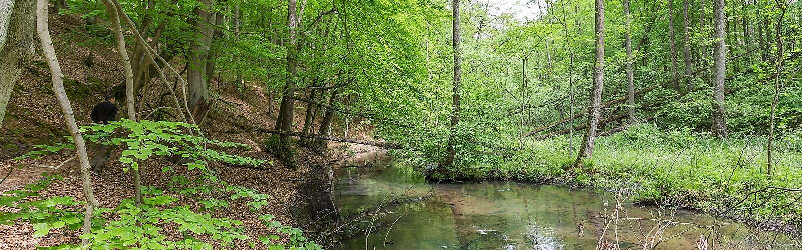 Wanderer im Schlaubetal