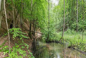 Wanderer im Schlaubetal