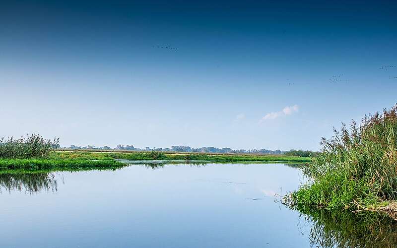 Havel bei Gülpe