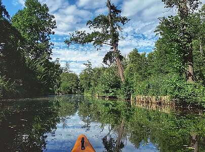 Paddeltour auf dem Galluner Kanal