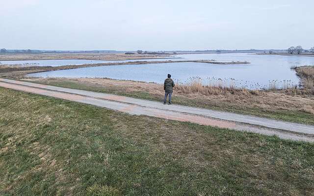 Mann auf dem Elbdeich im Winter