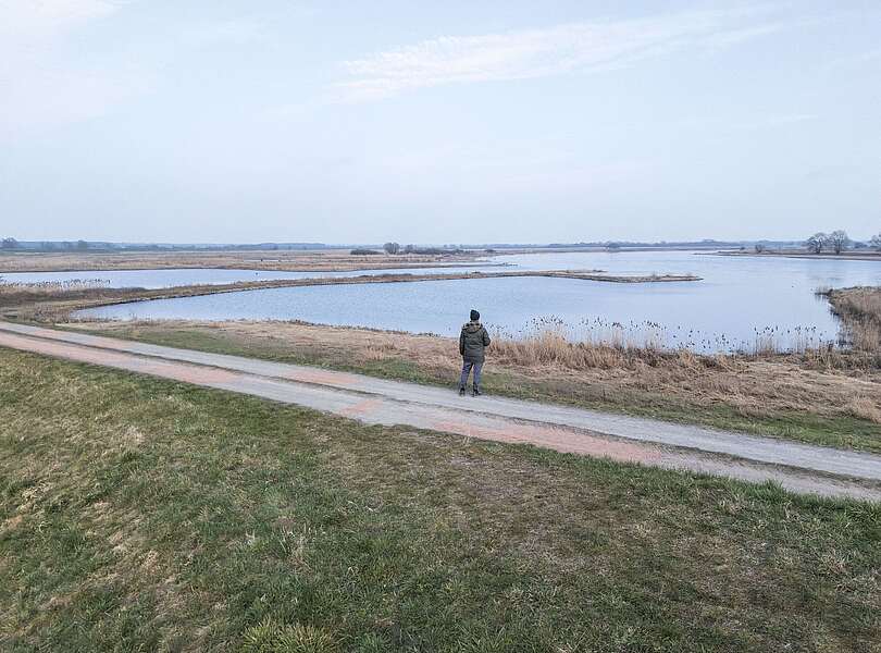 Mann auf dem Elbdeich im Winter