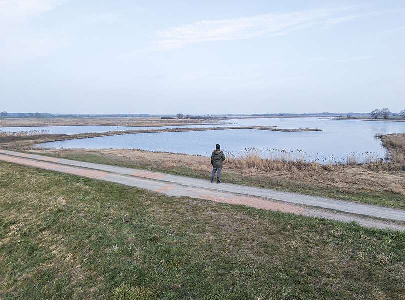 Mann auf dem Elbdeich im Winter