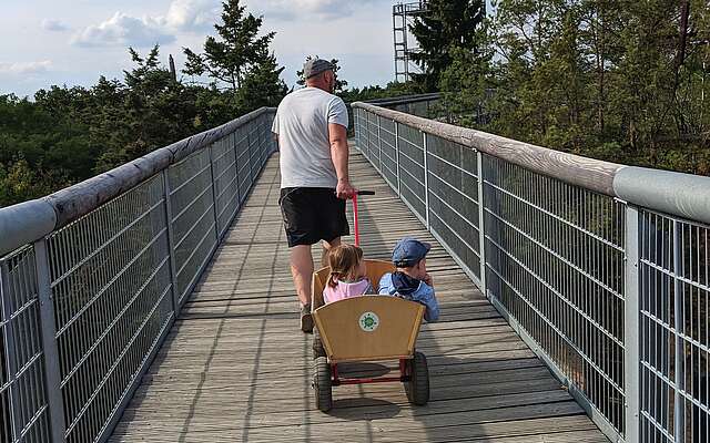 Unterwegs auf dem Baumkronenpfad Unterwegs auf dem Baumkronenpfad