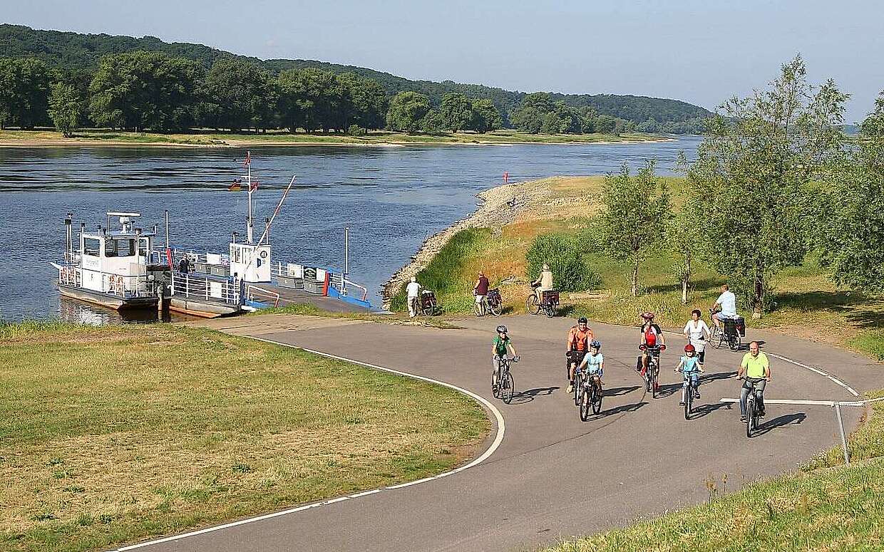 Radfahrer auf dem Elberadweg bei Lenzen