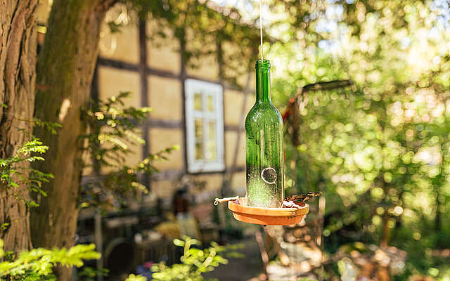 Glasflasche hängend am Baum