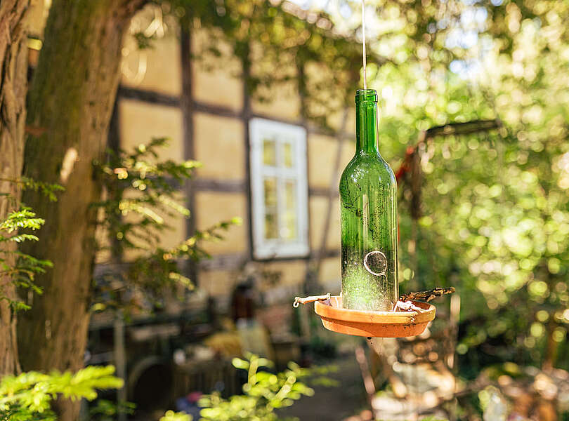 Glasflasche hängend am Baum