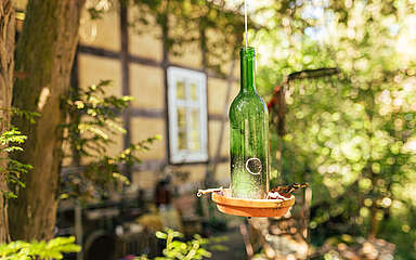 Glasflasche hängend am Baum