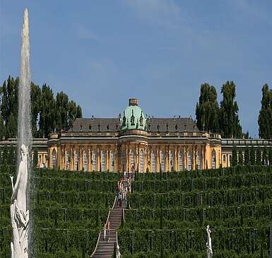Schloss Sanssouci mit Weinbergterrassen