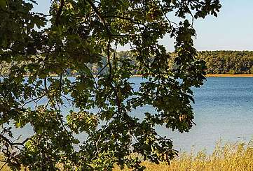 Seddiner See