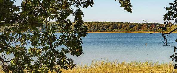 Seddiner See