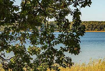 Seddiner See