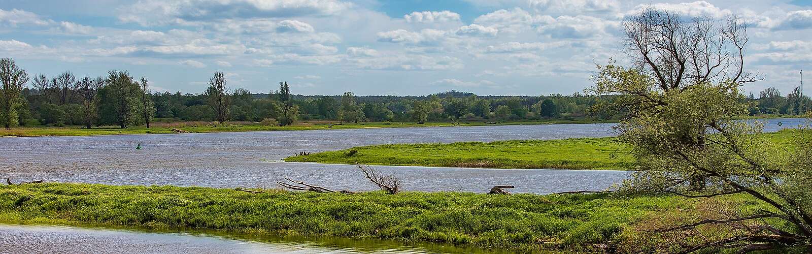 Blick auf die Wiesen im Oderbruch bei Hohenwutzen