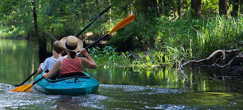 Paddeln im Spreewald