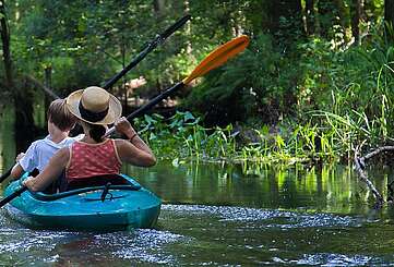 Paddeln im Spreewald