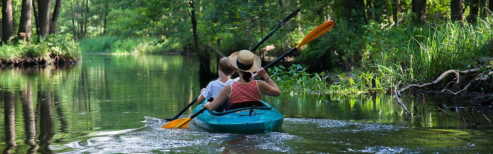 Paddeln im Spreewald