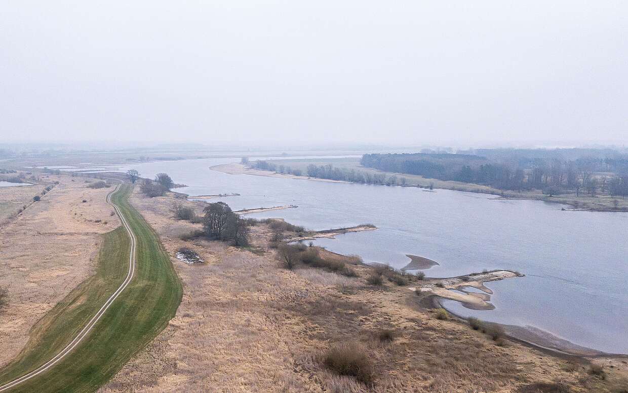 Flusslandschaft Elbe im Winter