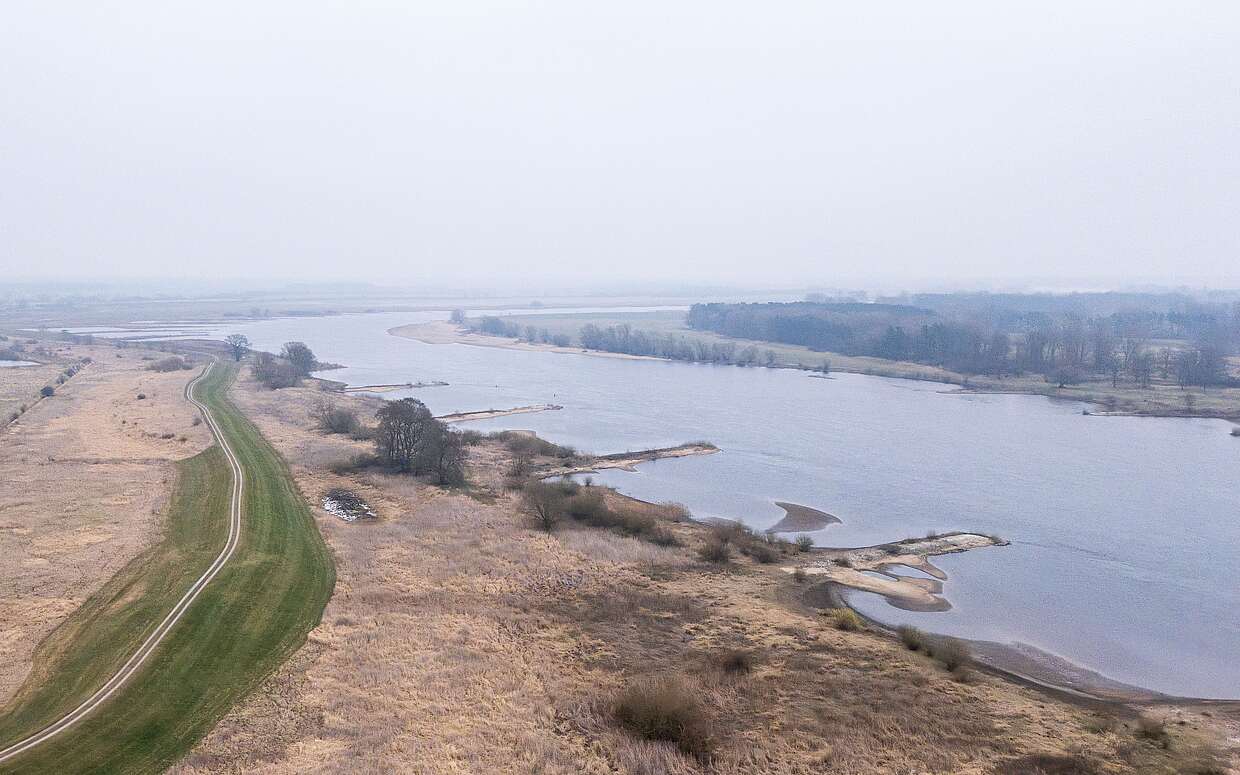 Flusslandschaft Elbe im Winter