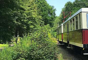 Buckower Kleinbahn