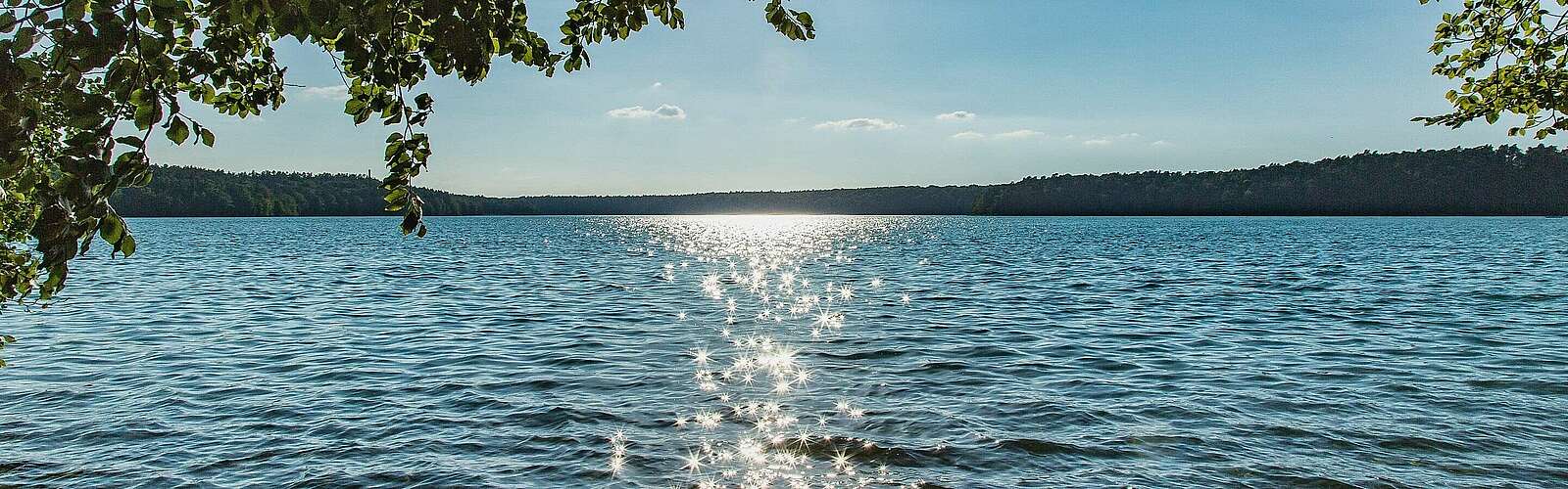 Stechlinsee