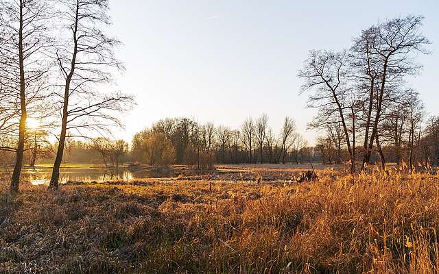 Winterlicher Spreewald zwischen Lübbenau und Lehde