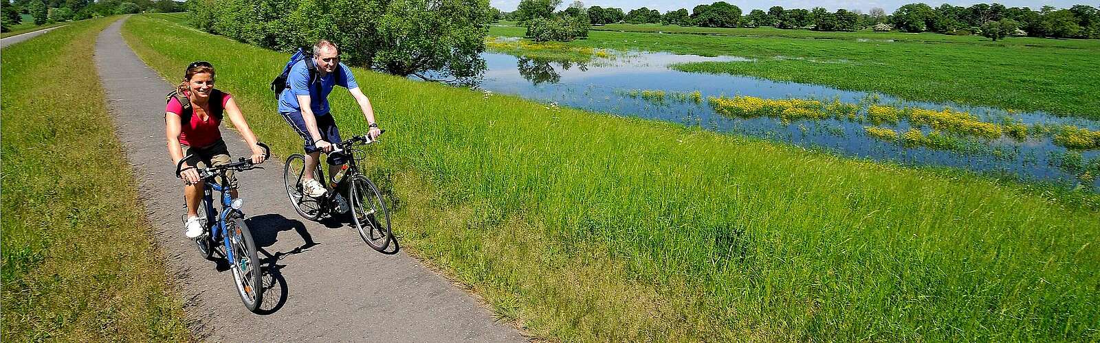 Radler auf dem Oder-Neiße-Radweg