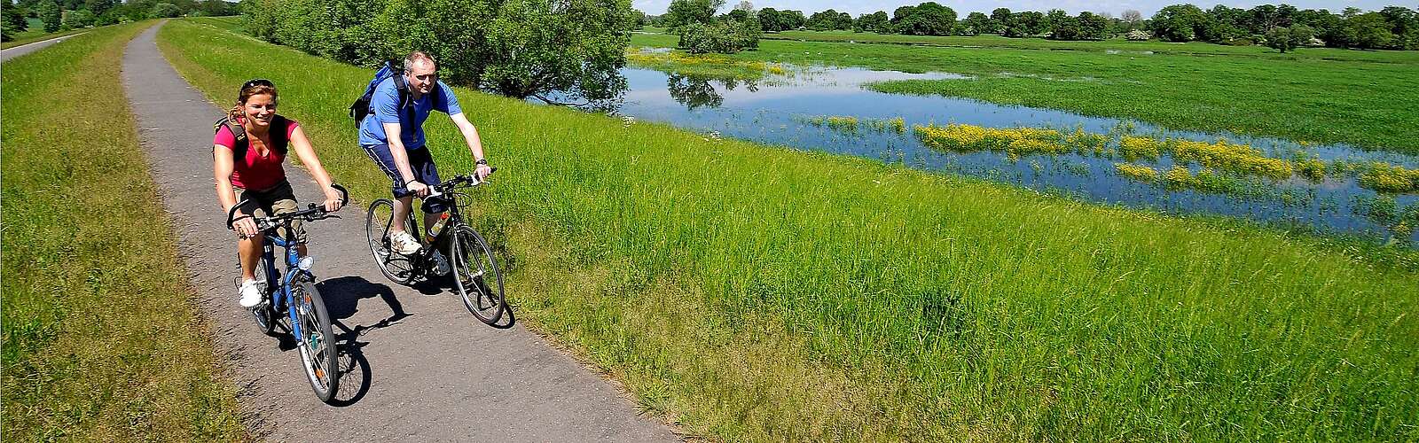 Radler auf dem Oder-Neiße-Radweg