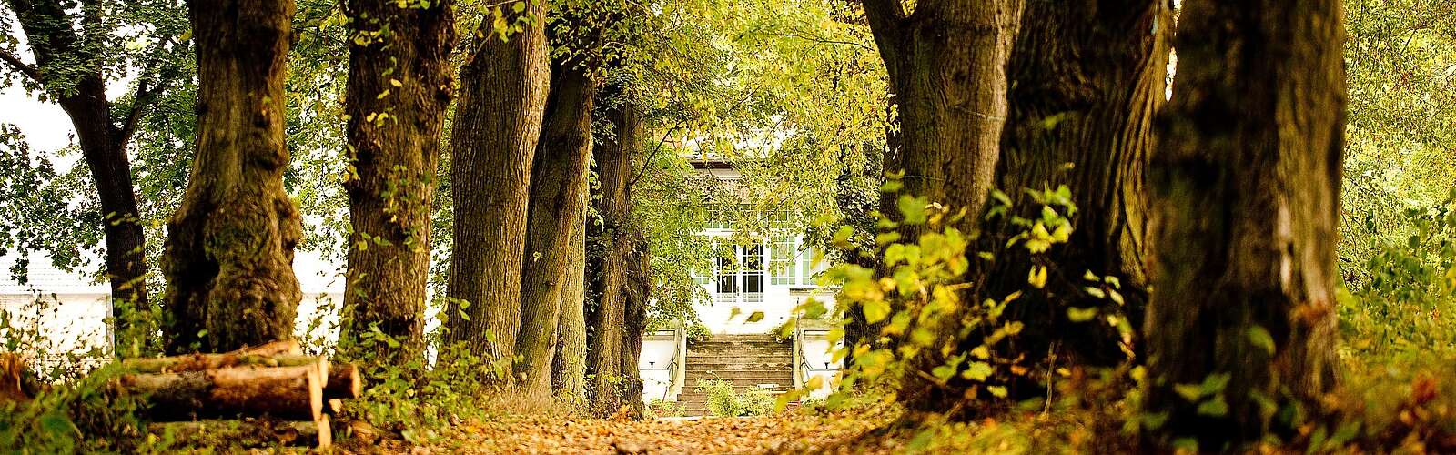 Allee zum Gut Boltenhof
