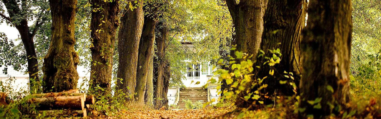 Allee zum Gut Boltenhof