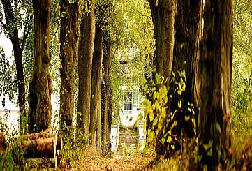 Allee zum Gut Boltenhof