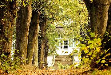 Allee zum Gut Boltenhof