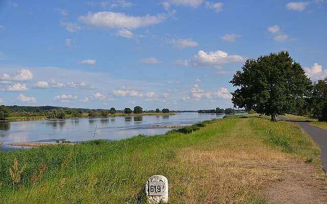 An der Oder bei Bienenwerder An der Oder bei Bienenwerder