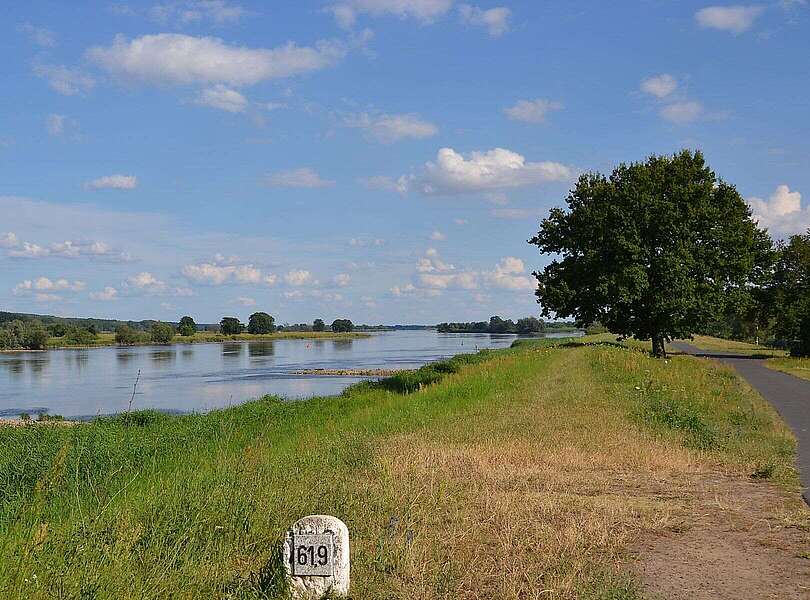 An der Oder bei Bienenwerder
