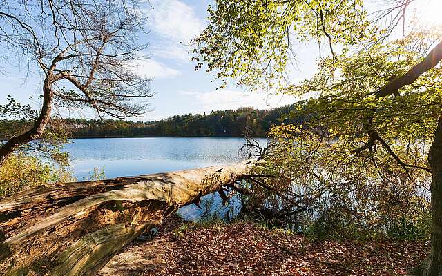 Herbst am Hellsee Herbst am Hellsee