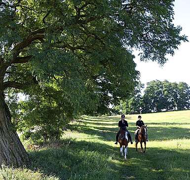 Reiten in der Uckermark