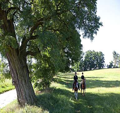 Reiten in der Uckermark