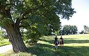 Reiten